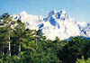 AI-PETRI, the most beautiful peak in the Crimea, looms over the city. 
